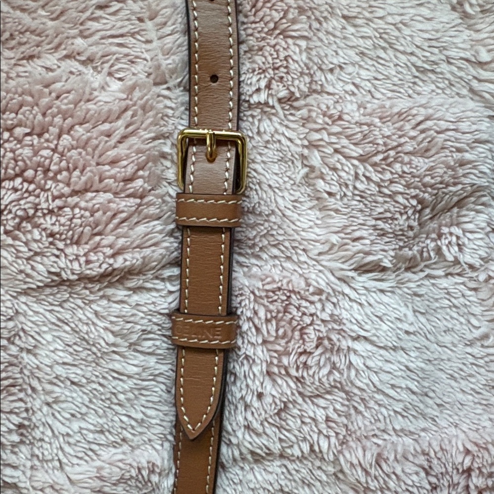 Celine Canvas Calfskin Triomphe Mini Besace Tan - Picture 5 of 5